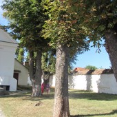 Biserici din Turia - Torjai templomok
